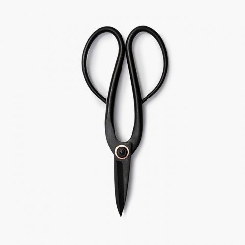 Barebones Pruning Shears