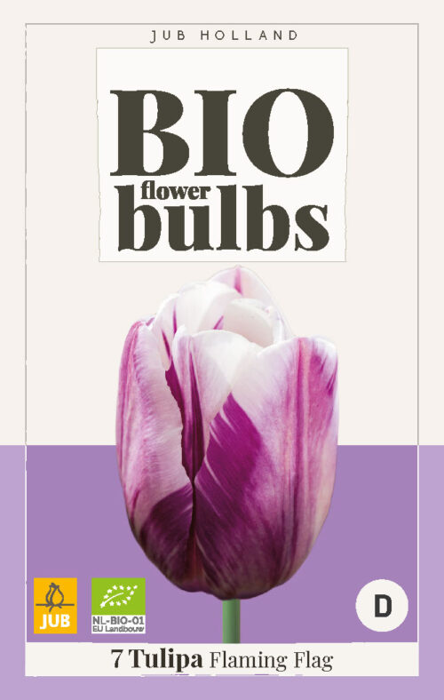 Bio Tulp Flaming Flag