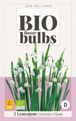 Bio Leucojum Gravetye Giant 3st