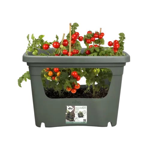 Green Basics Stack & Grow Large Living Groen