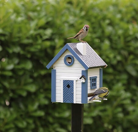 Dieren in de tuin