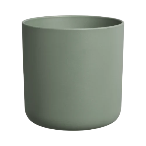 AVOCADO POT LEAF GREEN