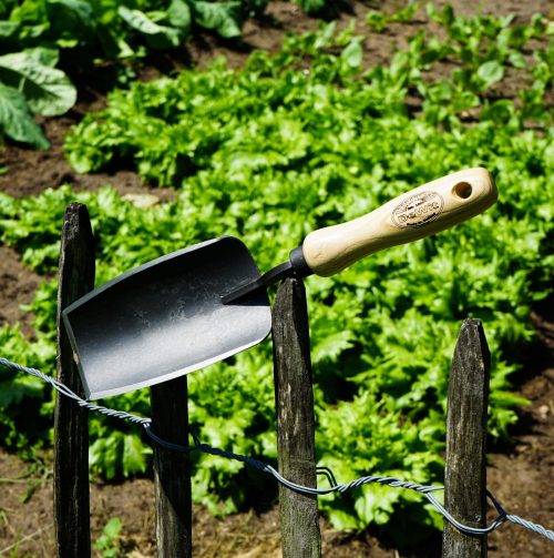 Plantschepje gesmeed staal